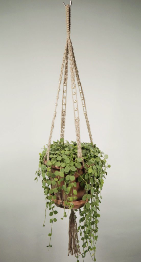 plant_2a_natur_1