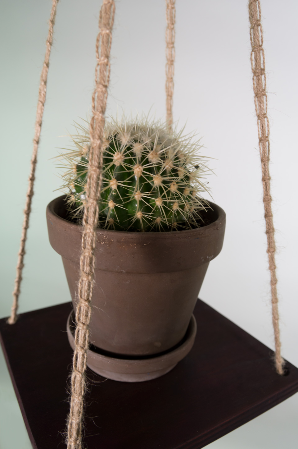 Hanging shelf, hængende hylde med kaktus, knyttet snor